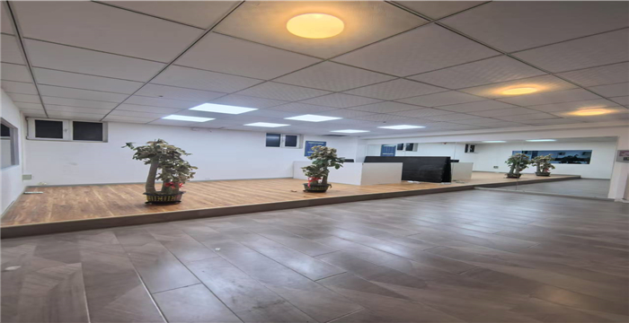 de2825771551b16db6007859af8a6239_1748410895763502