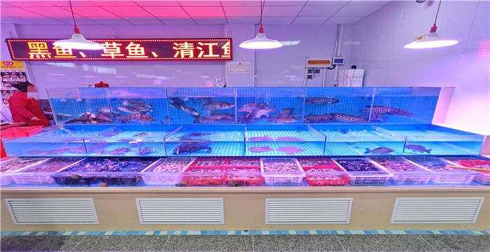 3c03cacde8d320cf63a382fa8821ab4d_1768878862713572