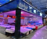 fc55fdb2c9bc481408ed1c19ad97dc0c_1768878861141216