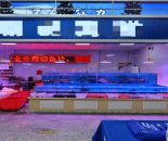 55b4079c634e49371a899573767fbdd5_1768878862956583