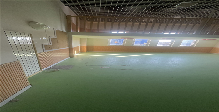 cae7c988bd521ec1c6e012f32764775