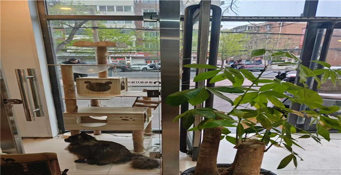 f9e73e9adaca85c7aa070fcad3d99d3